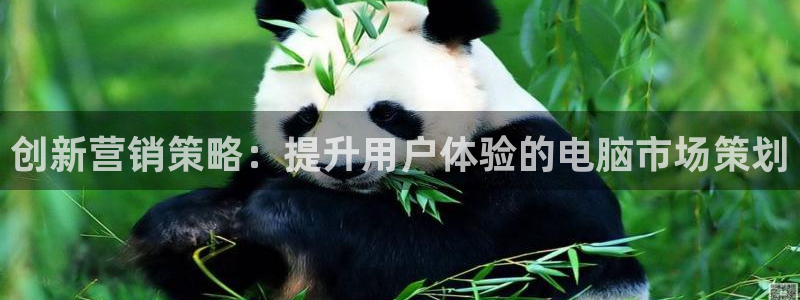 必赢官网app下载安装苹果手机