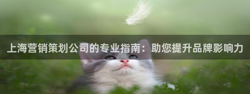 必赢链接