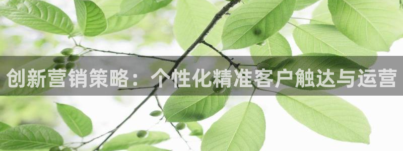 必赢亚赢网站官网下载安装