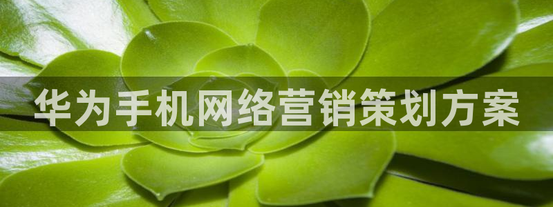 必赢手机app下载最新版安卓苹果可以用吗