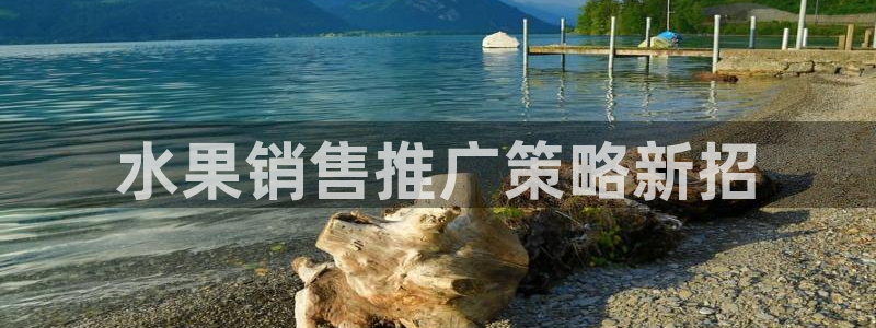 必赢亚赢网站官网下载手机版安卓