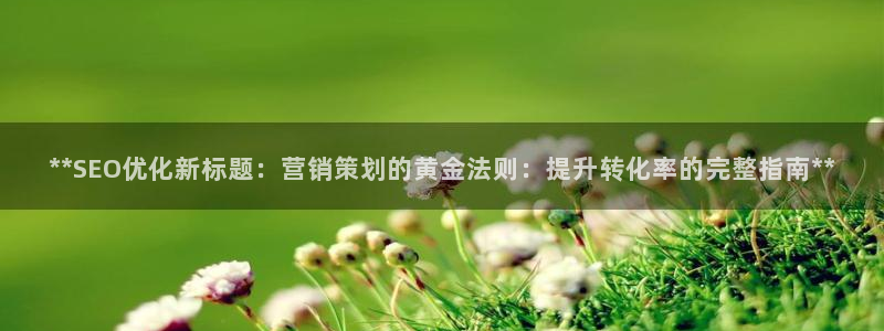 必赢3003平台
