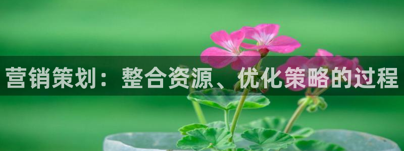 必赢3003网官