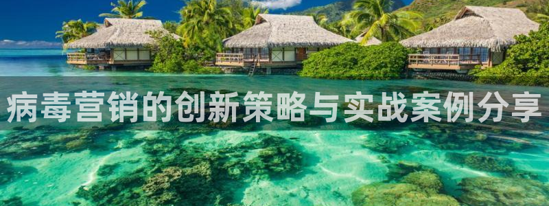 必赢网怎么打不开了呀