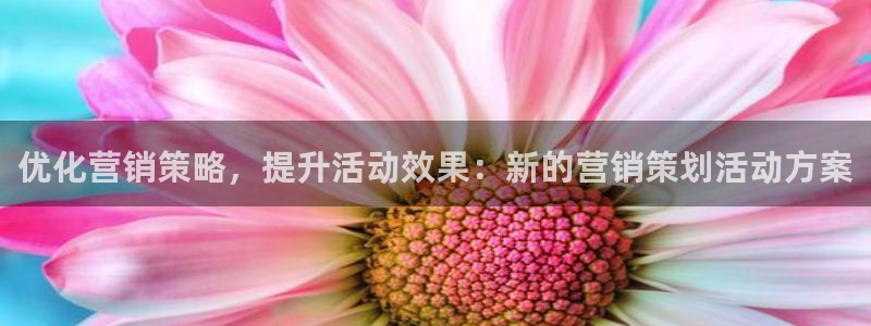 必赢的意思是什么