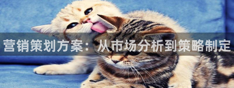 必赢网站充值是真的吗