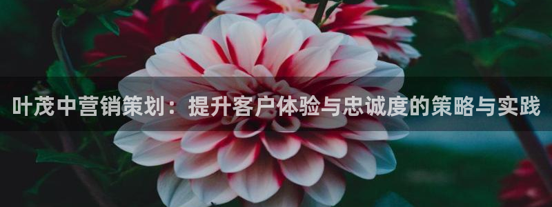 必赢必赢