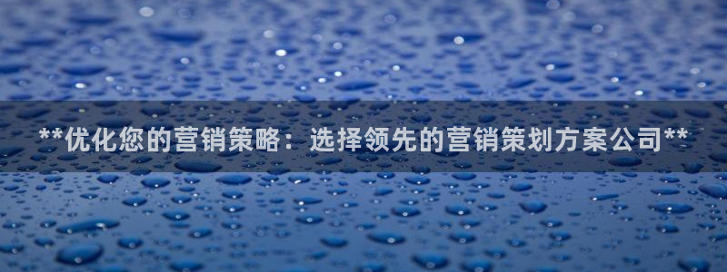 必赢app是干什么的