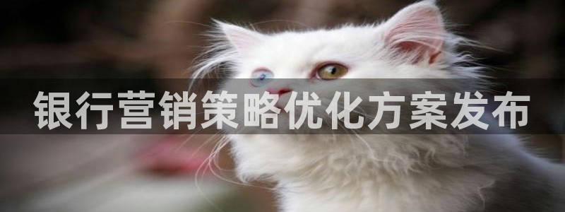 必赢这个软件怎么样啊