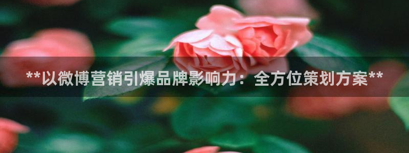 必赢网站是哪一个