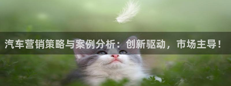 必赢网站打不开