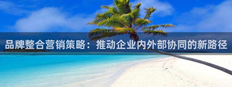 必赢平台网站多少