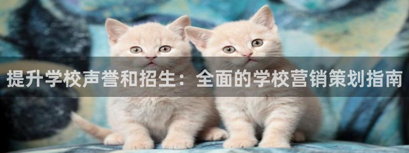 必赢国际437官方