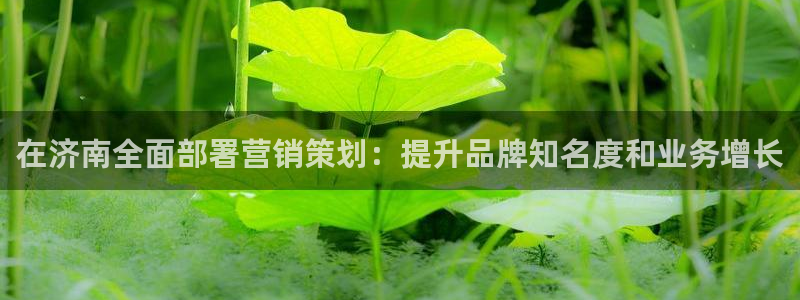 必赢官网app下载苹果版