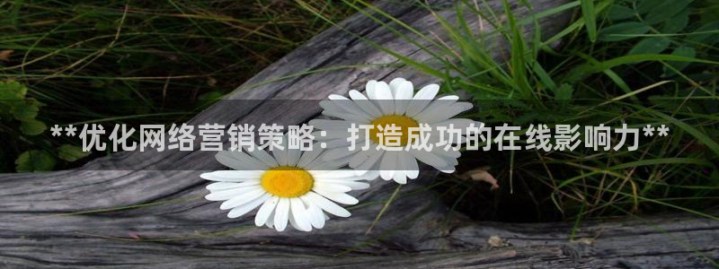 必赢3003网官
