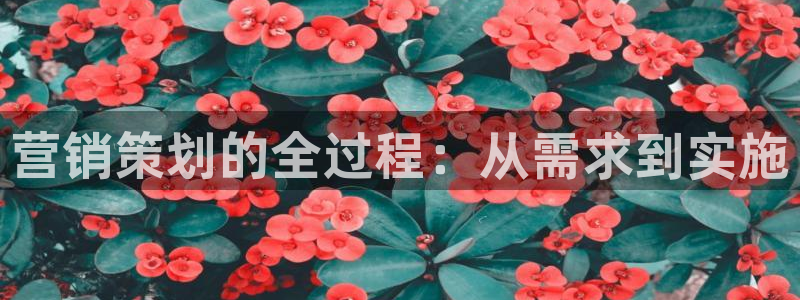 必赢.apk