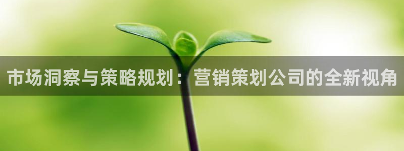 必赢最新官网