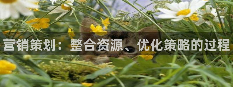 必赢手机app下载 最新版安卓苹果