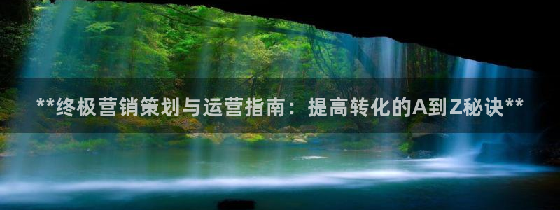 必赢网站进去