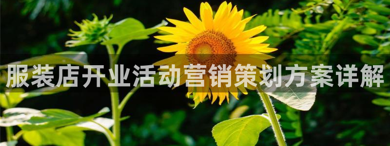 必赢下载