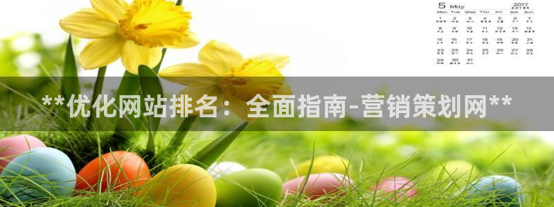 必赢网站有哪些
