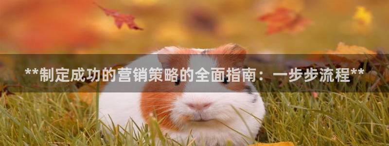 必赢这个平台怎么样啊