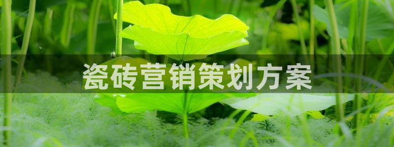 必赢官网网址多少