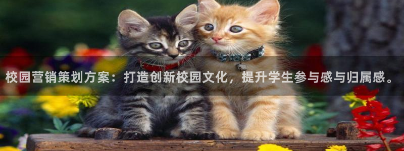 必赢下载