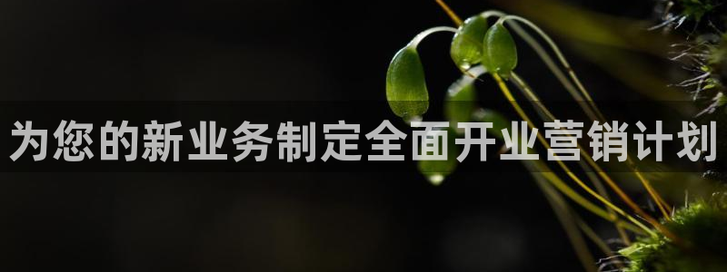必赢网怎么打不开了