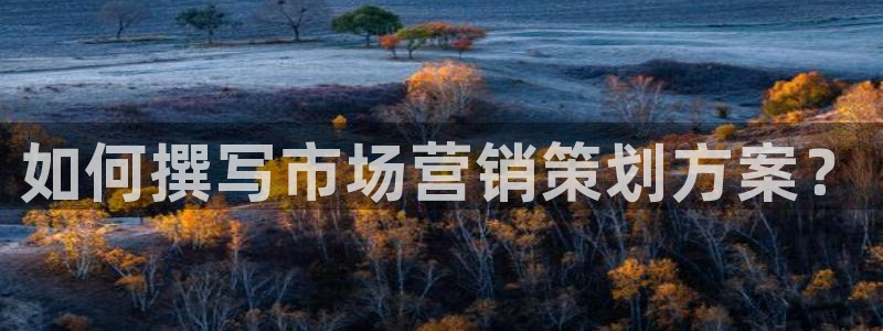 必赢亚赢网站官网下载安装