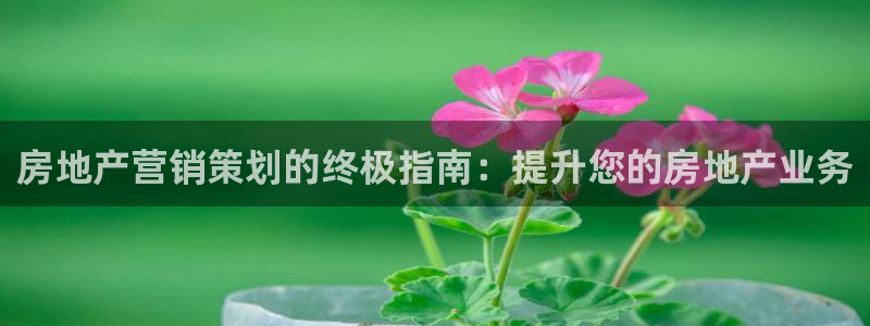 必赢下载安卓版