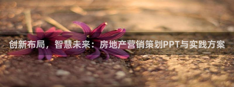 必赢公司是怎样的一家企业