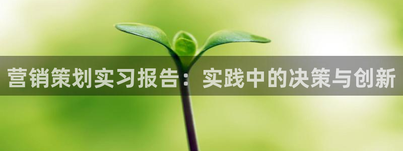 必赢72882网址