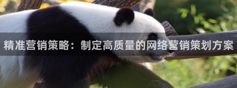 必赢766