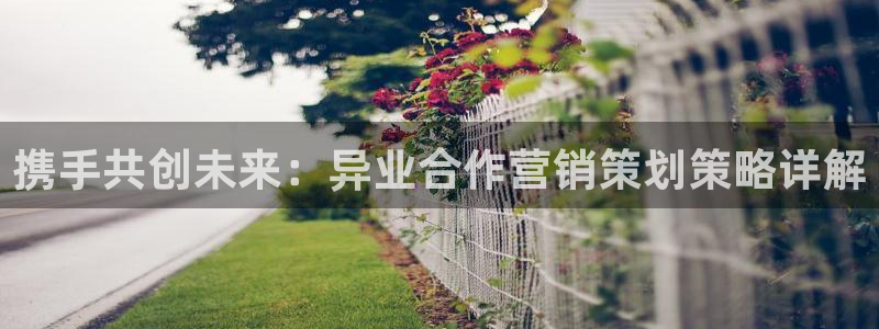 必赢国际的网站多少