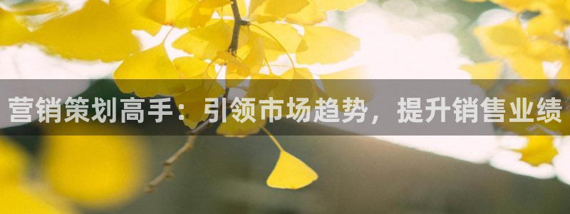 必赢72886网址多少啊