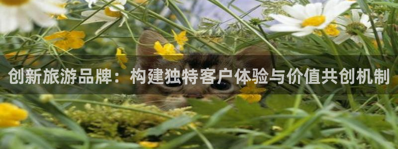 必赢客官方