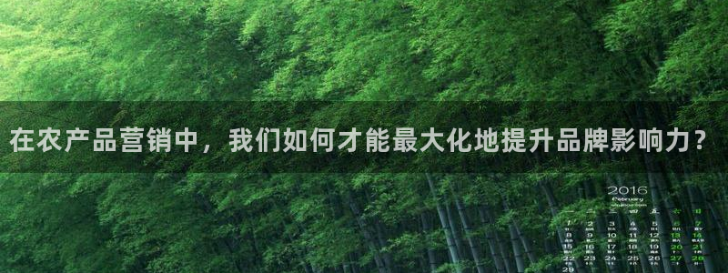 必赢app客户端下载官网手机版