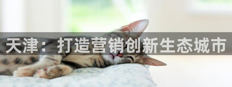 必赢客软件