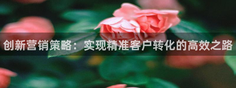 必赢手机app下载官网
