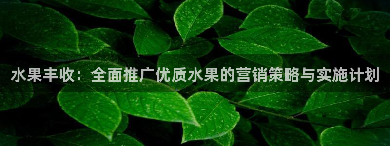 必赢.apk