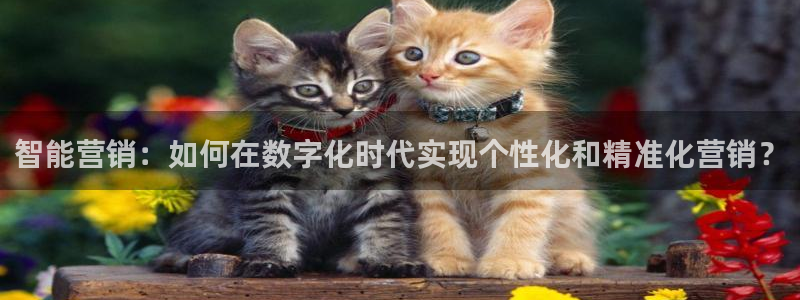 必赢线上网址