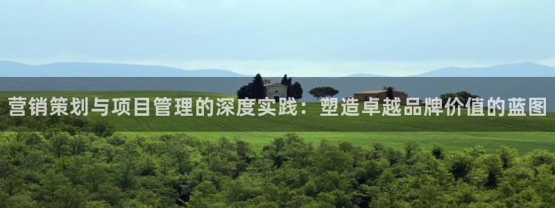 必赢网站有哪些