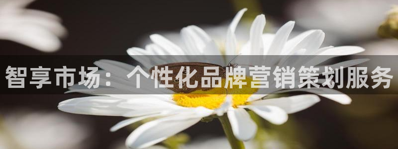 必赢棋盘官网版