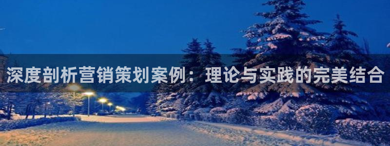 必赢科技北京有限公司