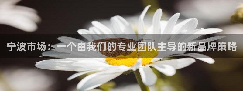 必赢下载安卓版下载