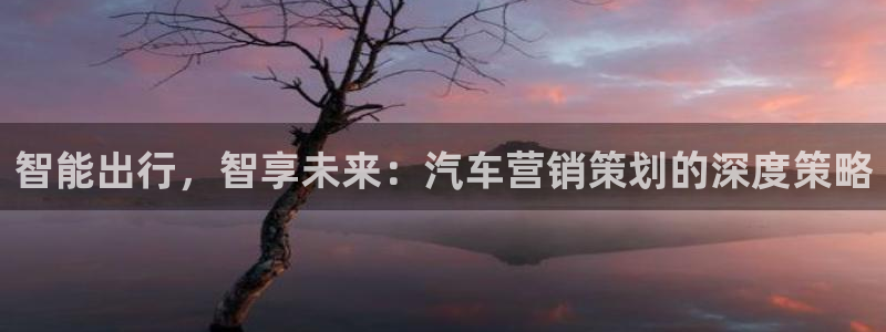 必赢官网网址多少