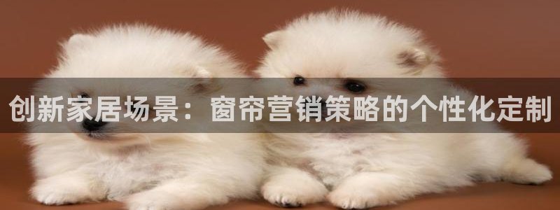 必赢集团网站是什么
