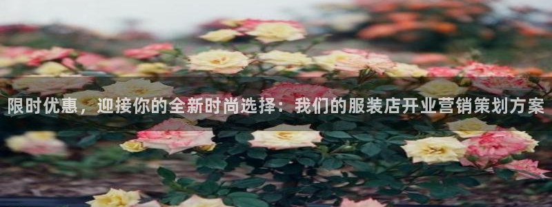 必赢国际a600典cc注册：限