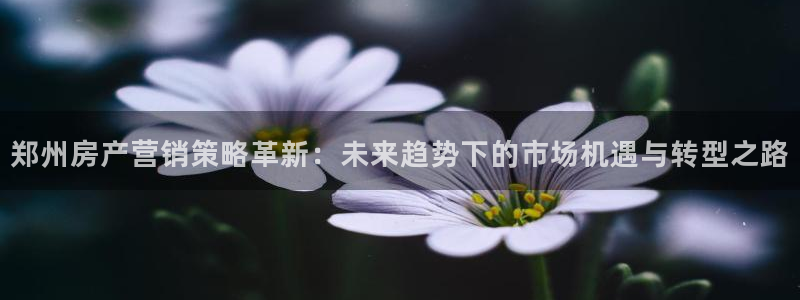 必赢亚赢网站官网下载
